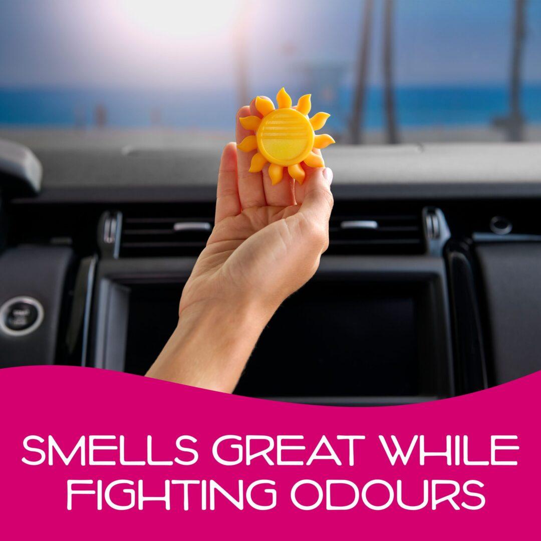 California Scents Sun Spinner - Newport New Car 3/6